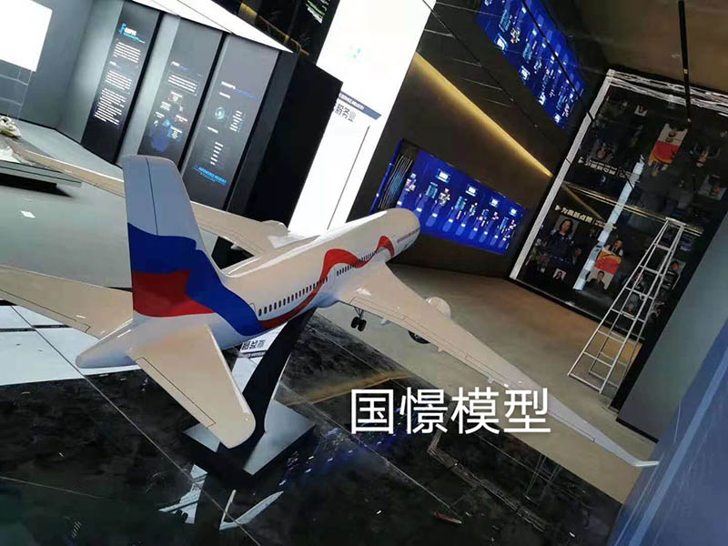 萍乡飞机模型